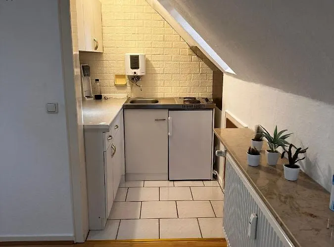 公寓 A&v Gemuetliche Rheinblick Daisy 杜伊斯堡